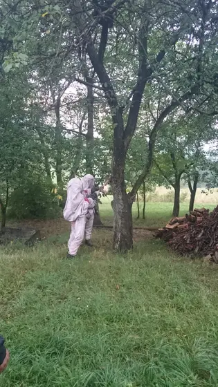 Kronika jednostki 2015 — cały rok — zdjęcie 598