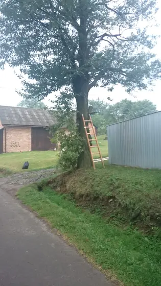 Kronika jednostki 2015 — cały rok — zdjęcie 602