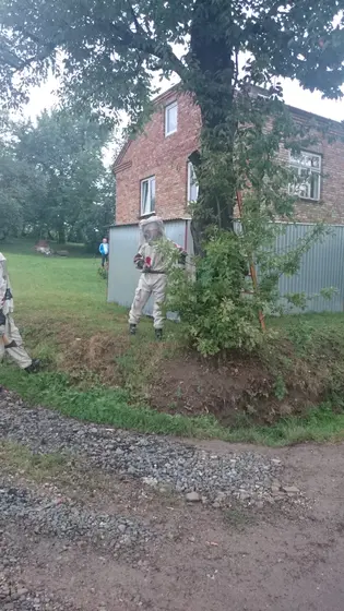 Kronika jednostki 2015 — cały rok — zdjęcie 603