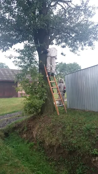 Kronika jednostki 2015 — cały rok — zdjęcie 607