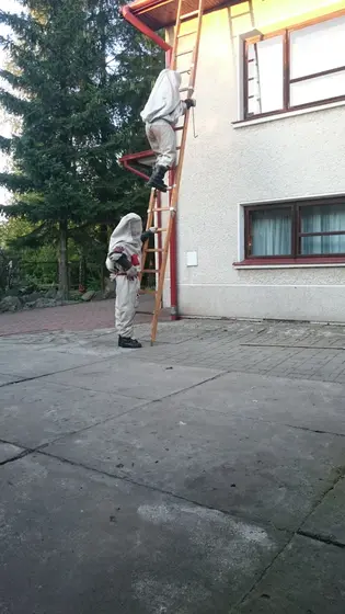 Szerszenie — zdjęcie 24