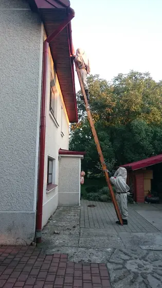 Szerszenie — zdjęcie 27