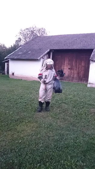 Szerszenie — zdjęcie 35
