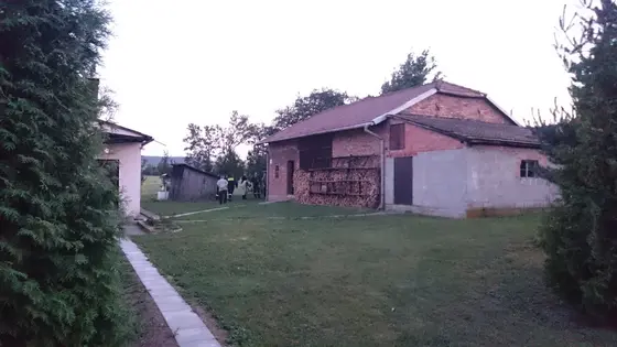 Szerszenie — zdjęcie 36