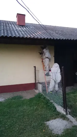 Szerszenie — zdjęcie 12