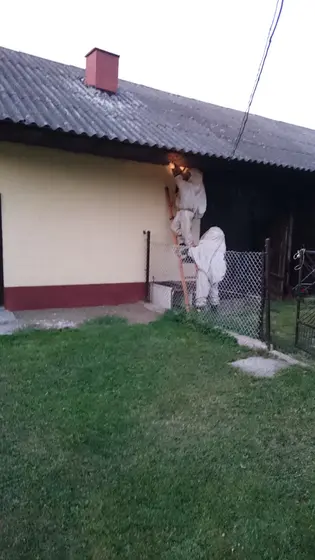 Szerszenie — zdjęcie 13
