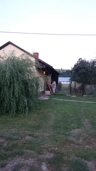 Szerszenie — zdjęcie 14