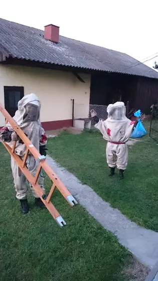 Szerszenie — zdjęcie 19