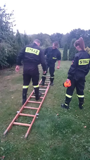 Szerszenie