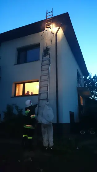 Kronika jednostki 2015 — cały rok — zdjęcie 526