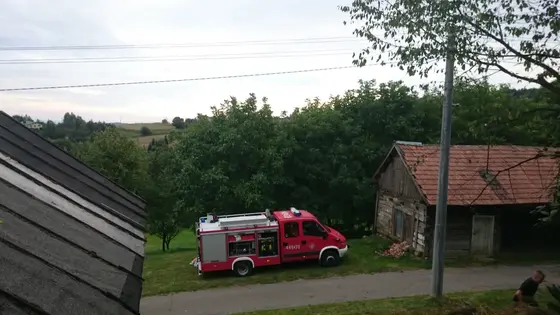 Szerszenie — zdjęcie 2