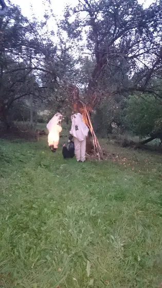 Szerszenie — zdjęcie 6