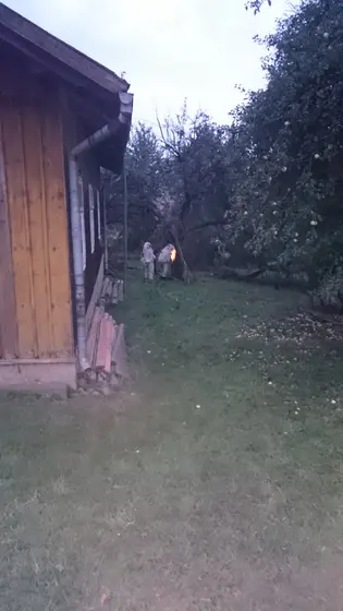 Szerszenie — zdjęcie 14