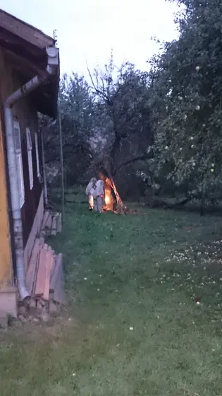 Szerszenie — zdjęcie 15