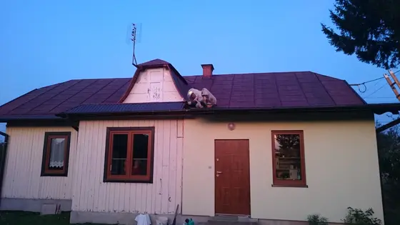 Szerszenie — zdjęcie 3