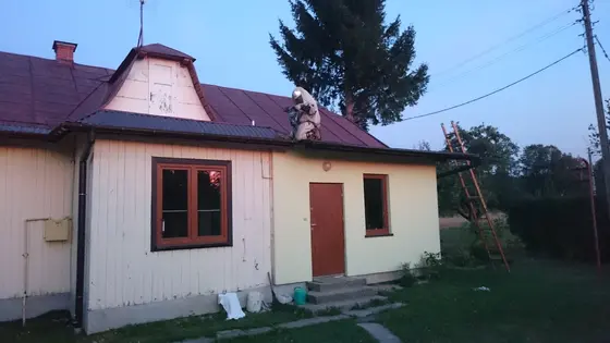 Szerszenie — zdjęcie 4