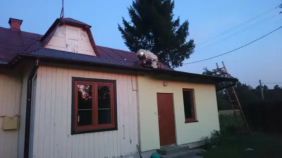 Szerszenie — zdjęcie 5