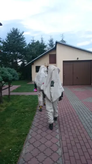 Szerszenie