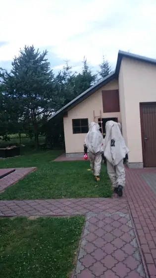 Szerszenie — zdjęcie 2