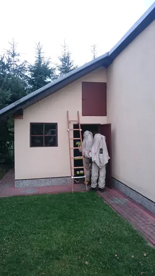 Szerszenie — zdjęcie 3