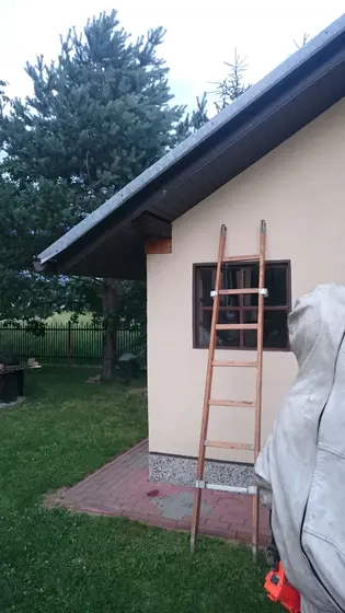 Szerszenie — zdjęcie 7