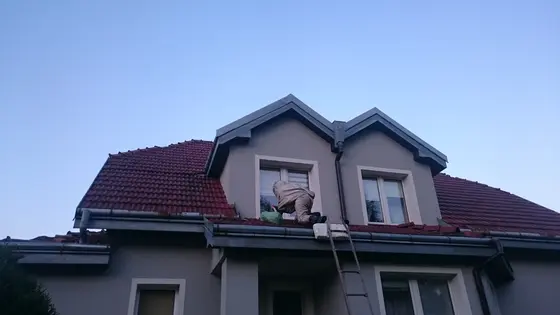 Szerszenie — zdjęcie 3