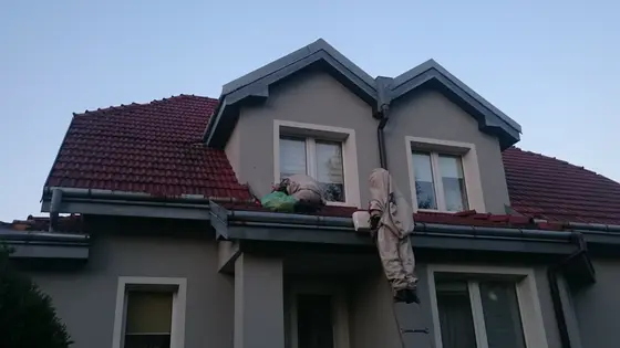 Szerszenie — zdjęcie 5