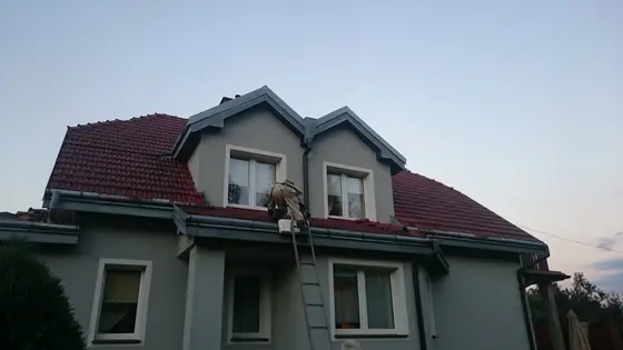 Szerszenie — zdjęcie 7