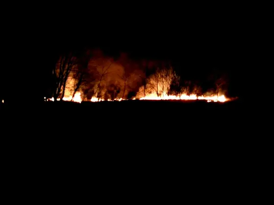 Trzecie wezwanie – pożar traw 10.04.2015r.