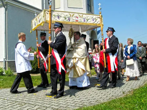 Udział w procesji – 03.05.2009 — zdjęcie 3