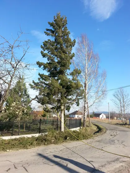 Kronika jednostki 2015 — cały rok — zdjęcie 2376