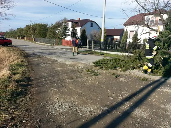 Kronika jednostki 2015 — cały rok — zdjęcie 2387