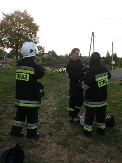 Usuwanie gniazda szerszeni — 13.09.2013 — zdjęcie 4