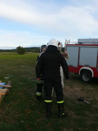 Usuwanie gniazda szerszeni — 13.09.2013 — zdjęcie 10