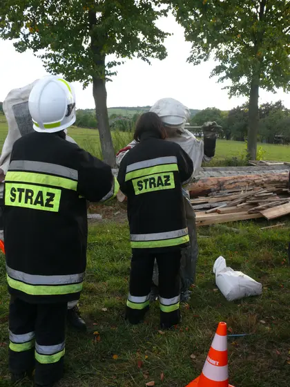 Usuwanie gniazda szerszeni — 13.09.2013 — zdjęcie 21