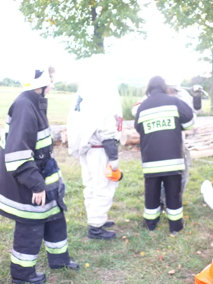 Usuwanie gniazda szerszeni — 13.09.2013 — zdjęcie 22