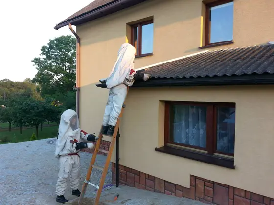 Usuwanie szerszeni – 02.08.2014 — zdjęcie 4