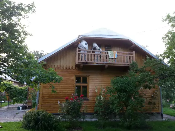 Kronika jednostki 2014 — cały rok — zdjęcie 1009