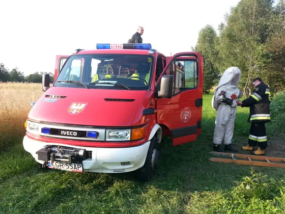 Usuwanie szerszeni – 18.07.2014