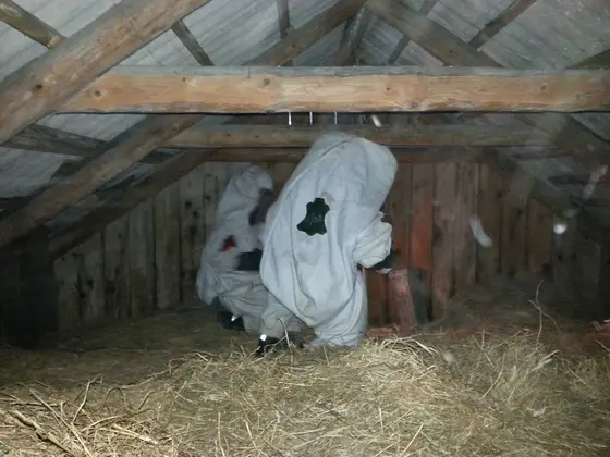 Kronika jednostki 2014 — cały rok — zdjęcie 576