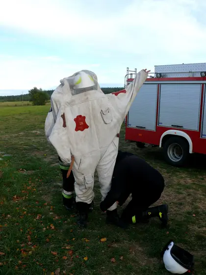 Usuwanie szerszeni z budynku gospodarczego – 13.09.2013r. — zdjęcie 2