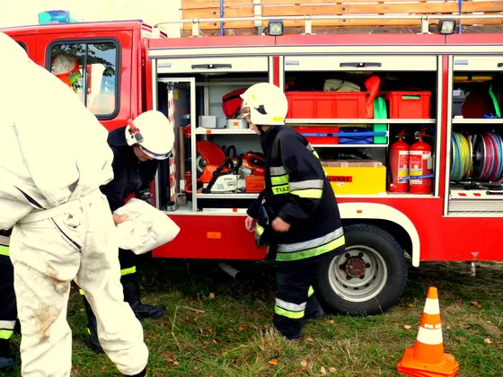 Usuwanie szerszeni z budynku gospodarczego – 13.09.2013r. — zdjęcie 5