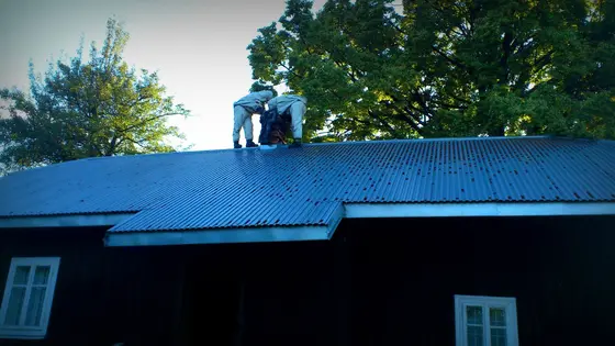 Usuwanie szerszeni z budynku mieszkalnego – 23.07.2013r. — zdjęcie 5