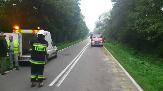 Kronika jednostki 2014 — cały rok — zdjęcie 761