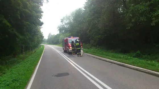 Kronika jednostki 2014 — cały rok — zdjęcie 762