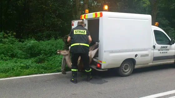 Kronika jednostki 2014 — cały rok — zdjęcie 764