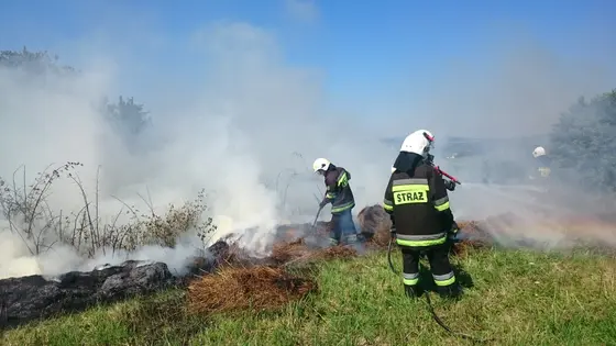 Z życia jednostki — 1 sierpnia 2017 — zdjęcie 7