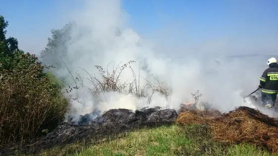 Z życia jednostki — 1 sierpnia 2017 — zdjęcie 11