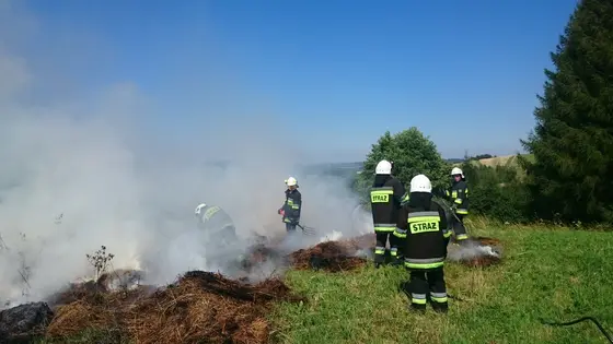 Z życia jednostki — 1 sierpnia 2017 — zdjęcie 12