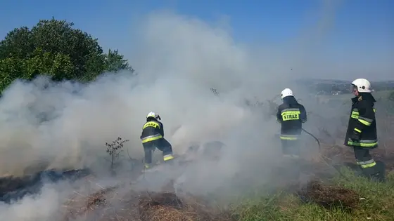 Z życia jednostki — 1 sierpnia 2017 — zdjęcie 18
